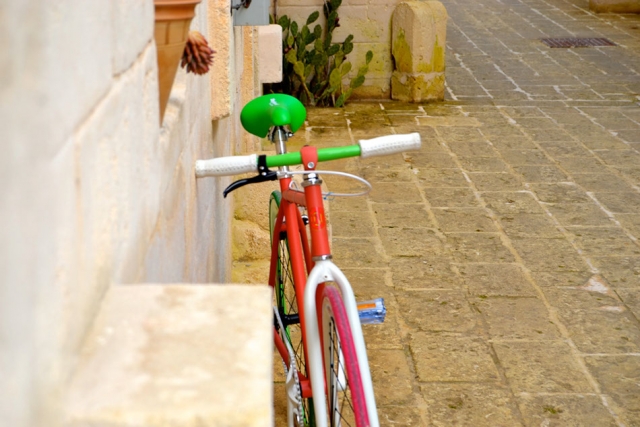  自行车租赁和技术支持 